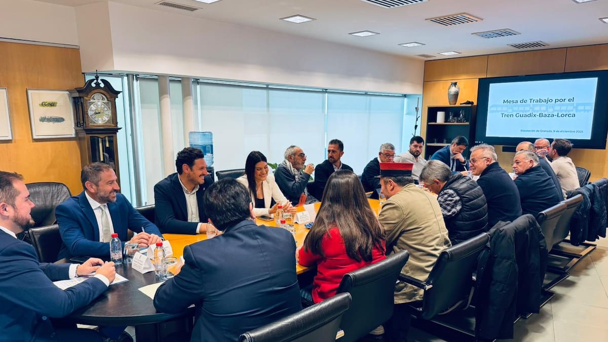 Encargan un nuevo estudio de viabilidad para forzar la reapertura de la línea de tren Guadix-Baza-Almendricos-Lorca