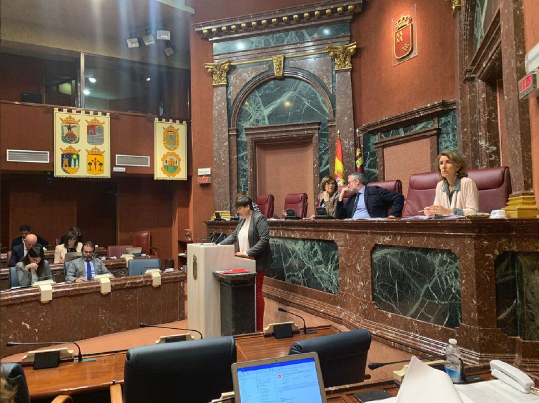 Presen López, en su última intervención parlamentaria este jueves en la Asamblea Regional