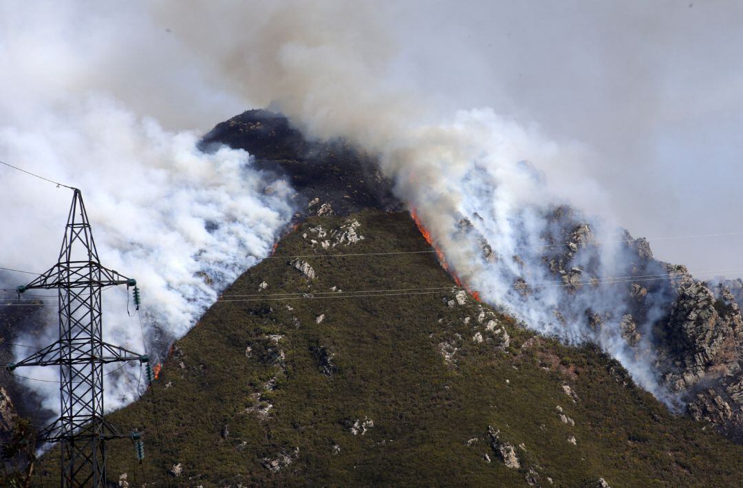 Los ganaderos piden que no se les señale como incendiarios