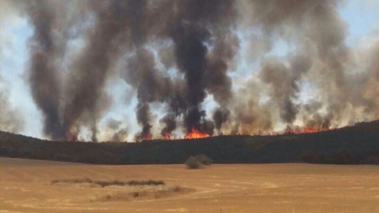 Fotos cedidas por el Ayuntamiento de Santa Cruz de Mudela y vecinos de la zona
