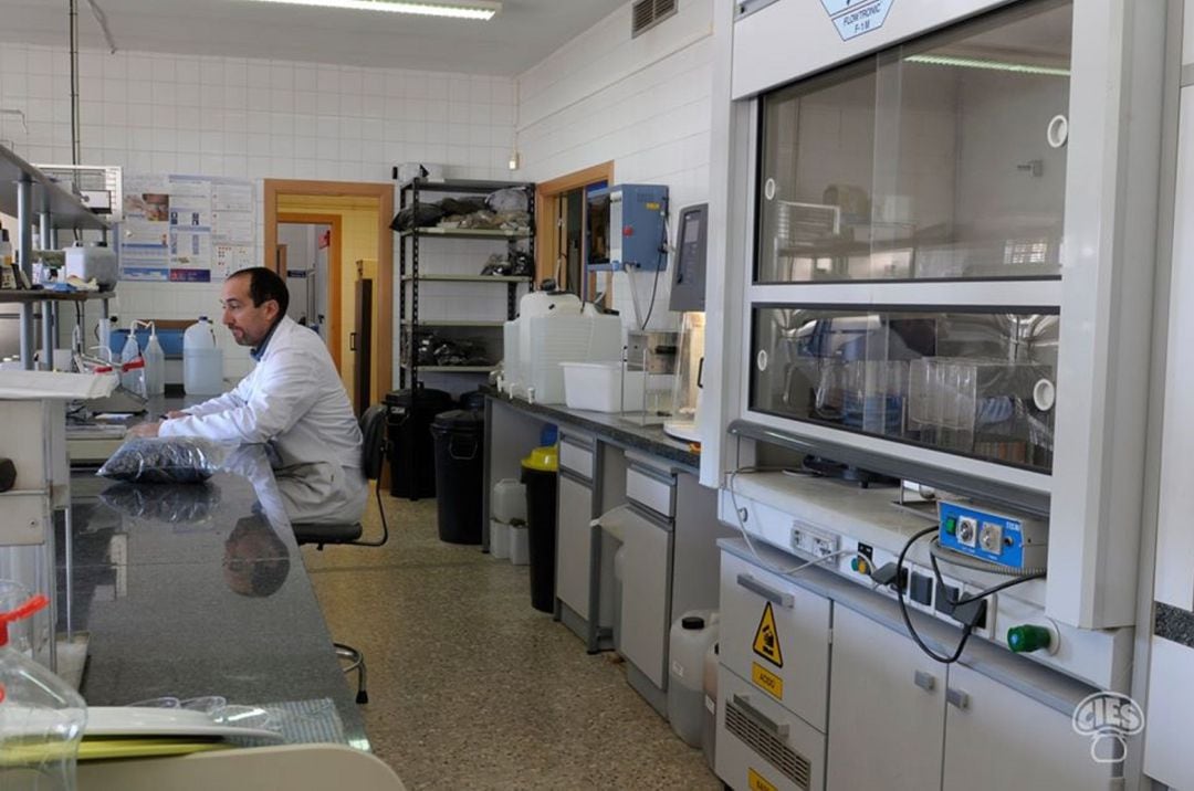 Centro de Investigación, Experimentación y Servicios del Champiñón