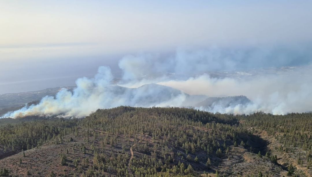 Incendio de Arico 