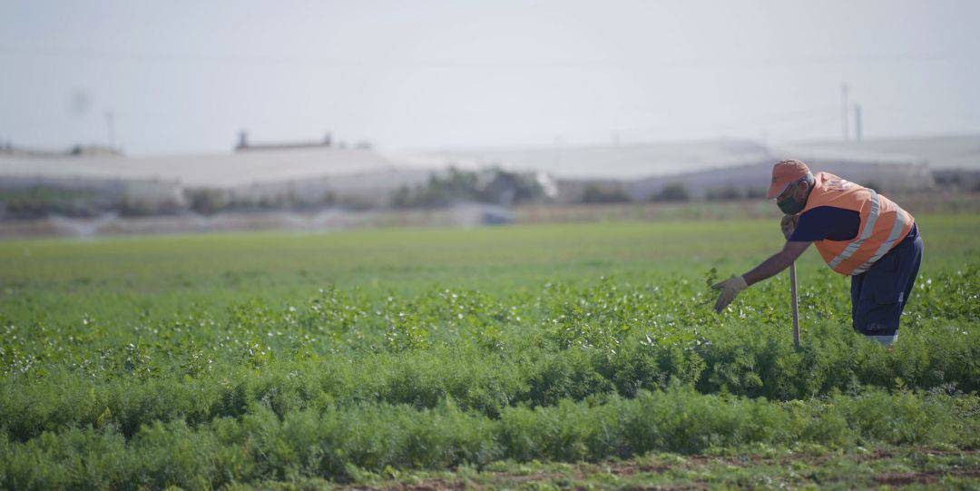 Un trabajador agrario