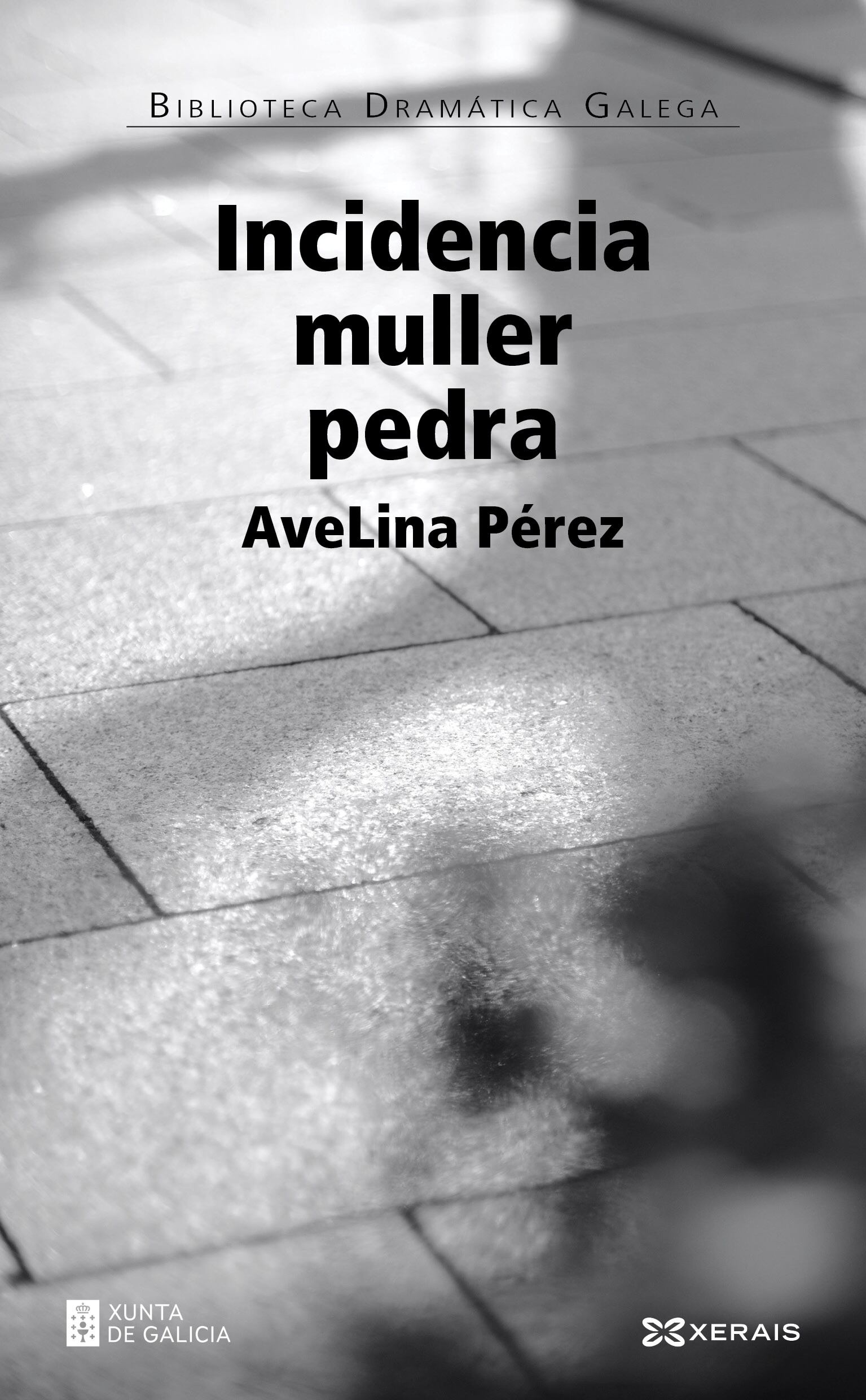 &#039;Incidencia muller pedra&#039;, de AveLina Pérez, de Edicións Xerais