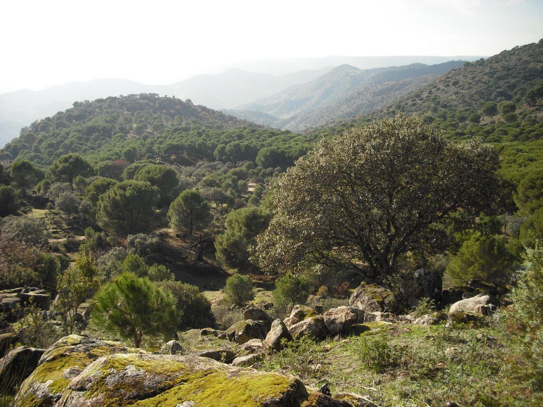 Sierra de Cazorla.