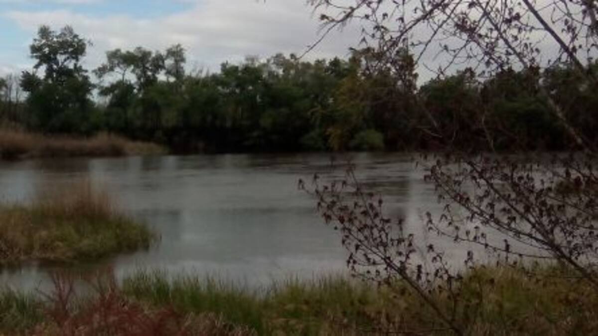 Basurillas en Acción limpia este domingo las mágenes del río Tajo