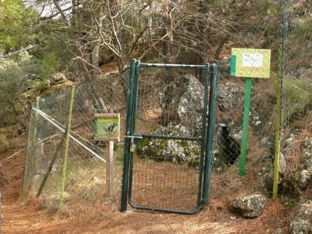 Entrada acotada a la cavidad para salvaguardar su ecosistema muy peculiar y rico