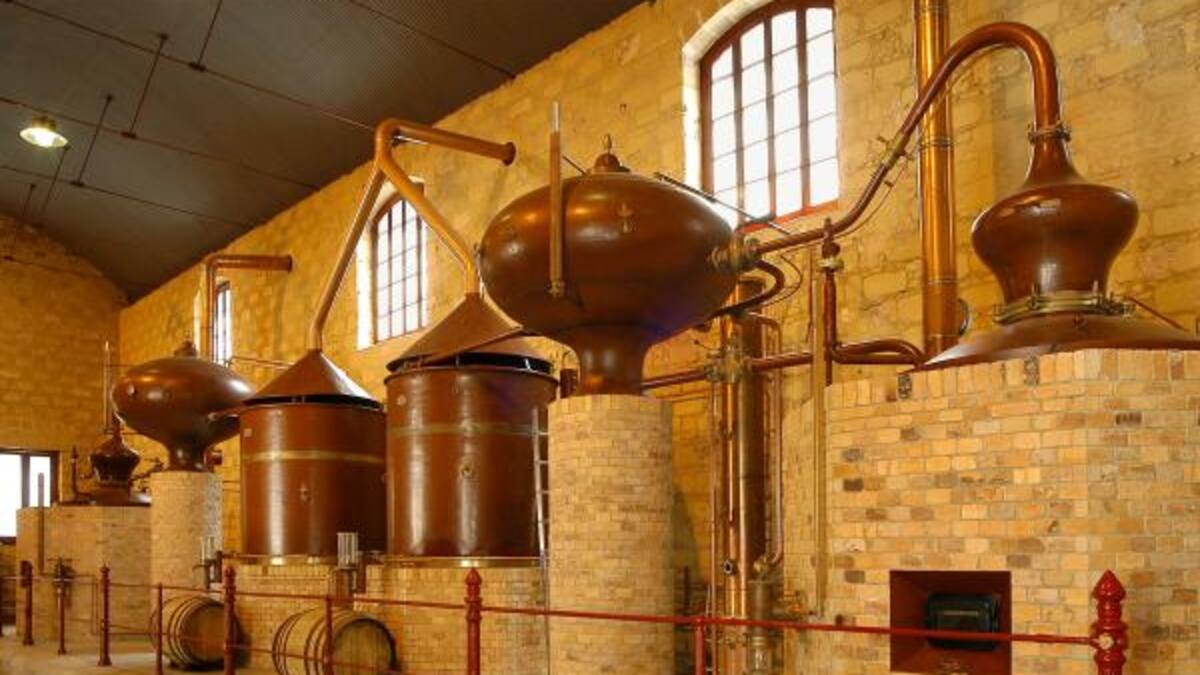 Con una copa de brandy en la ser