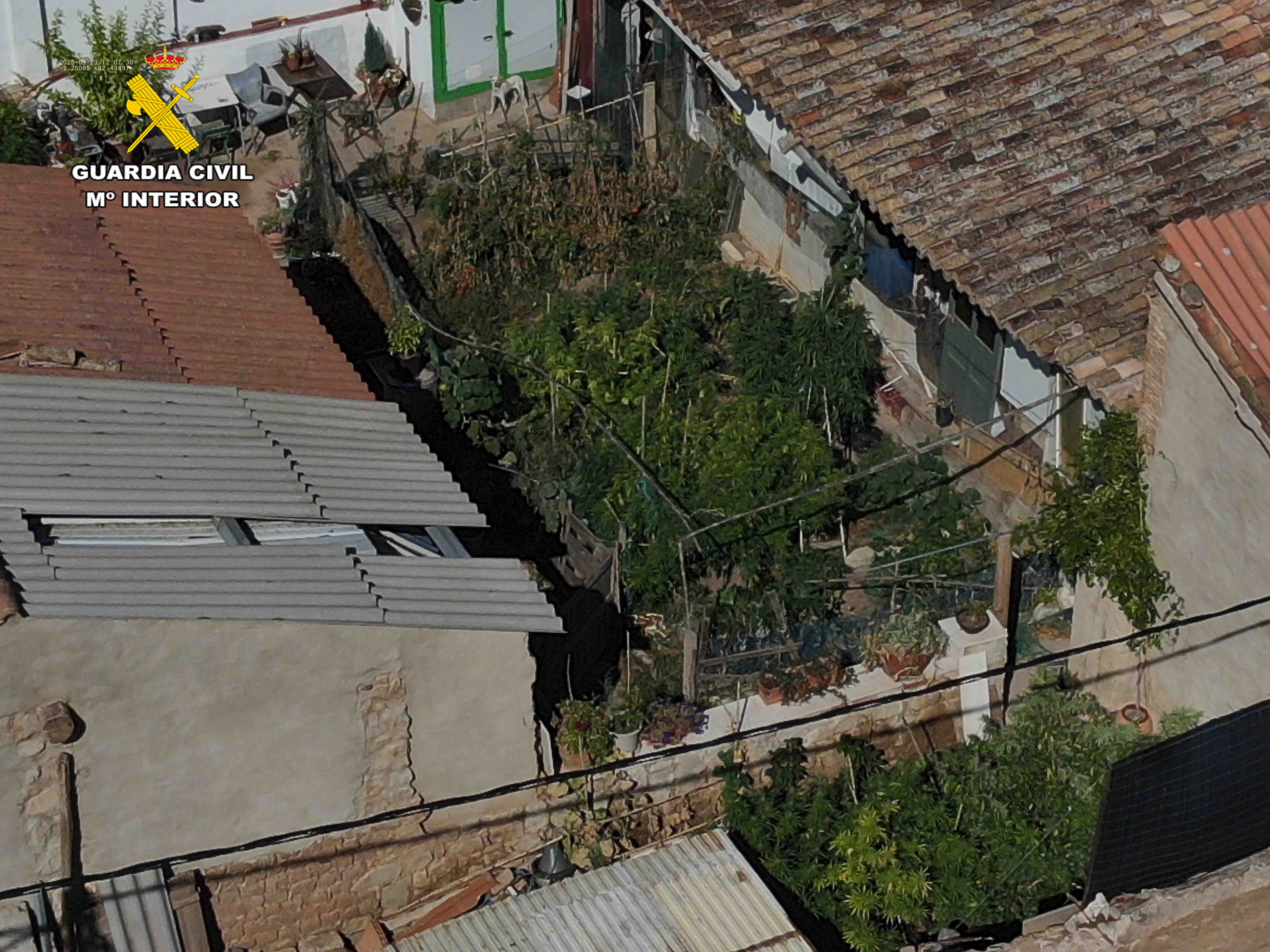 Localizada una vivienda en Arrúbal destinada al cultivo de cannabis