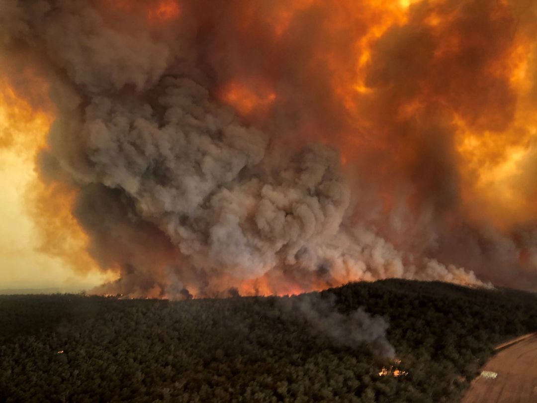 FOTOGALERÍA | Las llamas en el bosque de Bairnsdale, en el estado de Victoria, en Australia