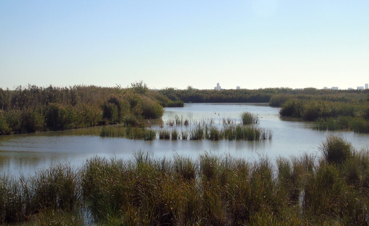 Fotografía de l'Albufera de València.