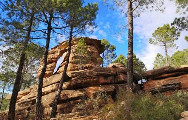 Paisaje de pinar rodeno en Henarejos.