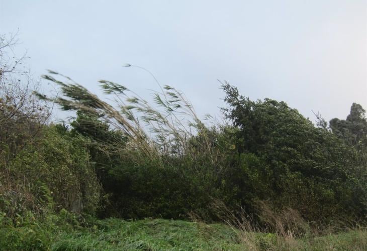 Rachas de viento en Euskadi