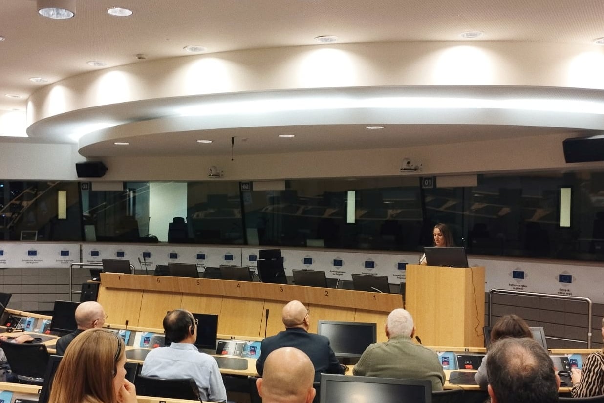 Ana Morell durante la presentación del proyecto en el Parlamento Europeo en Bruselas.