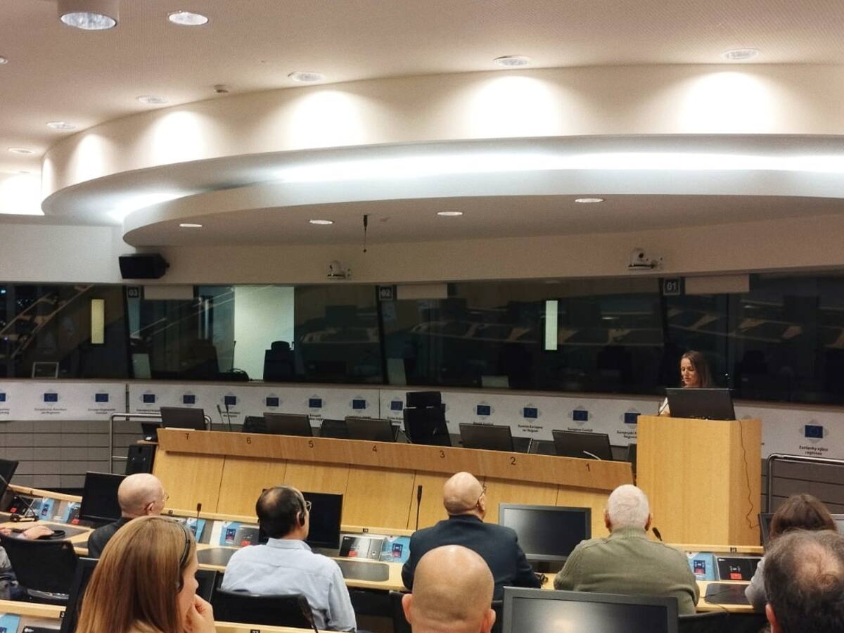 Oliva presenta en el Parlamento Europeo el proyecto sostenible de las pasarelas dunares