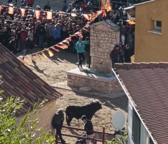 Suelta de reses celebrada este sábado en Chiloeches (Guadalajara)