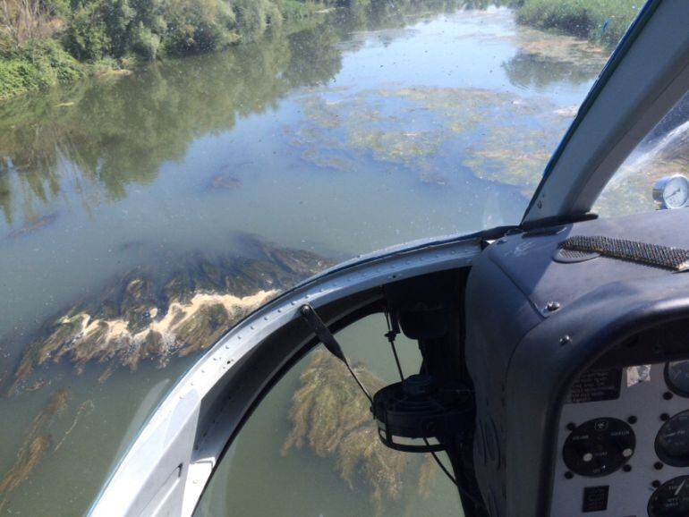 La Generalitat ha iniciat avui el tractament contra la mosca negra al Cinca català i al Segre fins a Lleida
