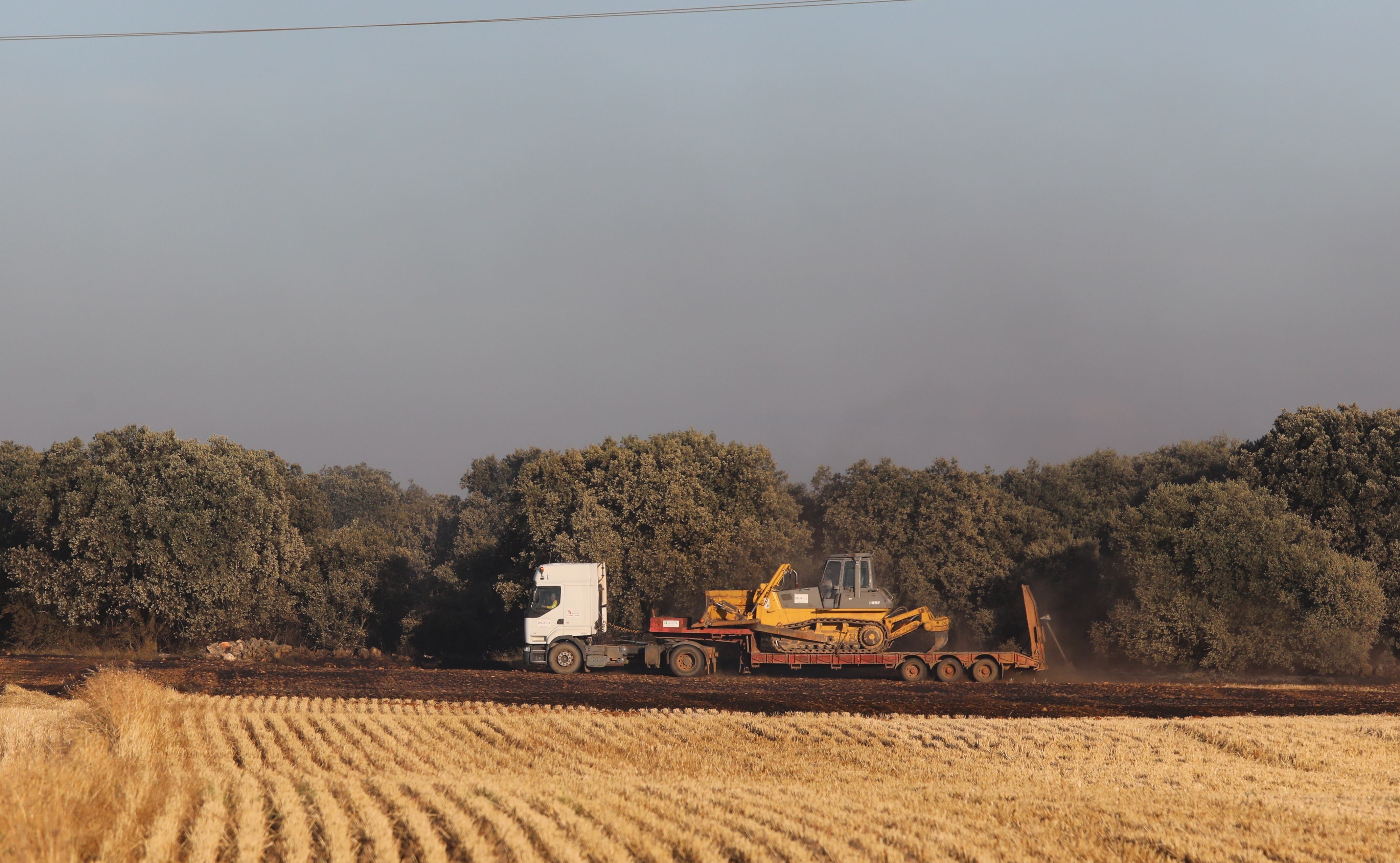 El incendio de Paredes de Monte (Palencia) alcanza el monte El Viejo ayudado por las fuertes rachas de viento Una veintena de medios aéreos y terrestres tratan de combatir las llamas que han dejado una densa humareda, visible desde la capital