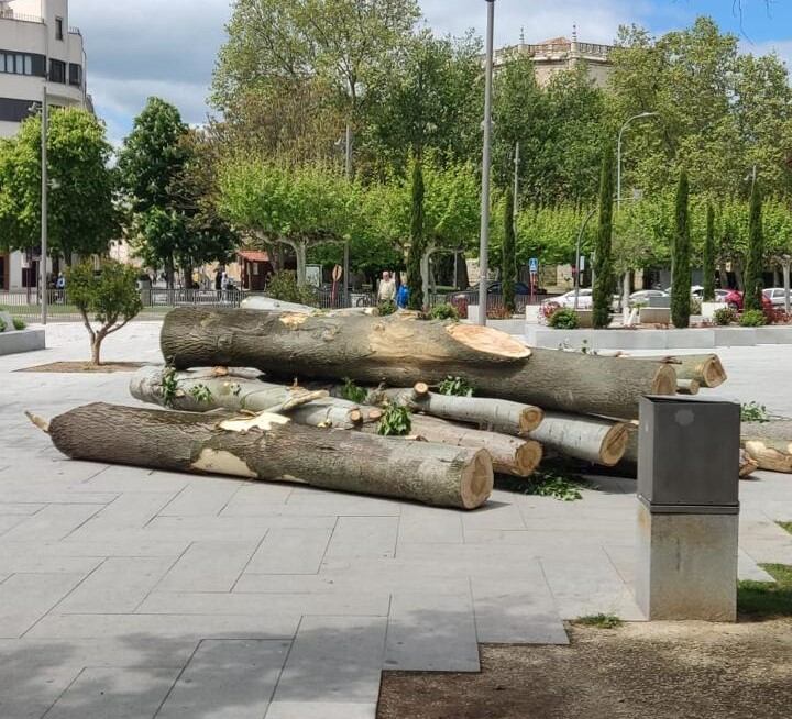 Árboles talados en Jardinillos