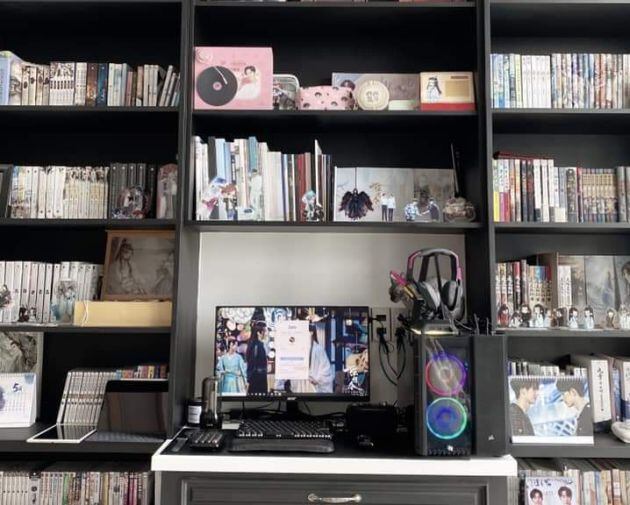 ¿Puedes dar con el gato escondido?