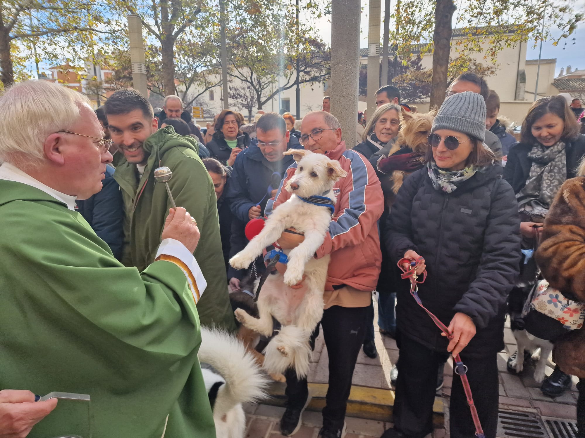 Bendición de animales por San Antón en el barrio de San Lorenzo, en Huesca