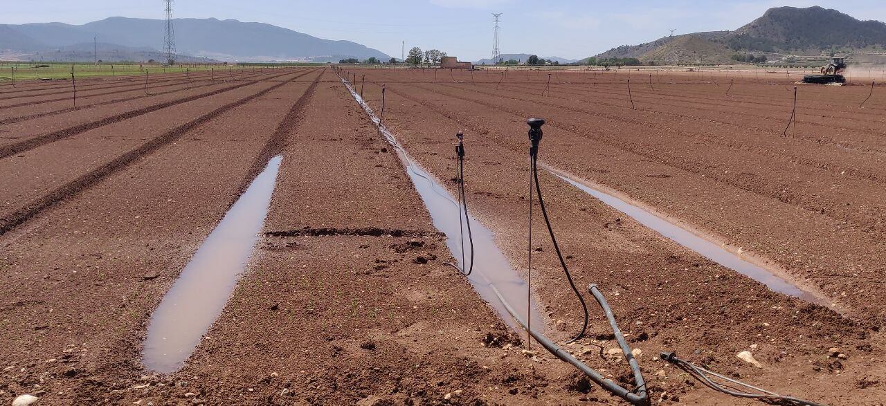 Boalage en plena sequía abril 2023