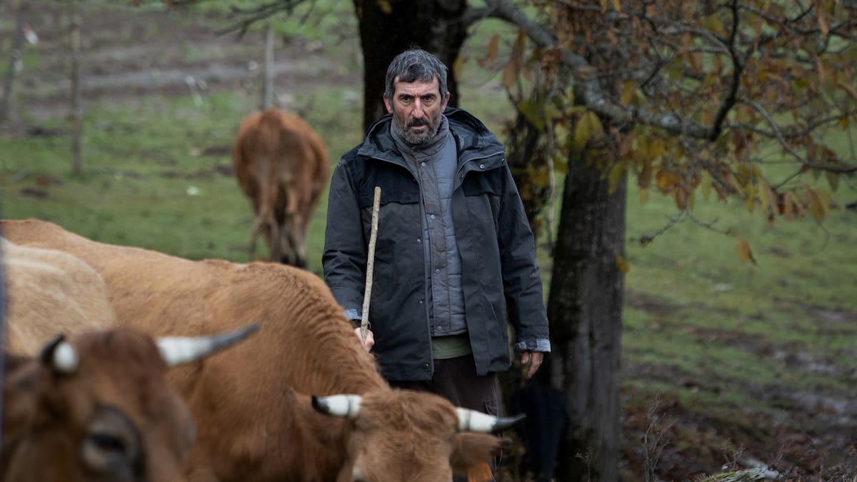 'As bestas' y 'La ruta' lideran las nominaciones de los Premios Feroz 2023