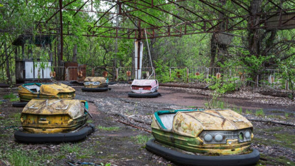 Del verde al negro: las ranas de Chernóbil mutan para sobrevivir a la radiación