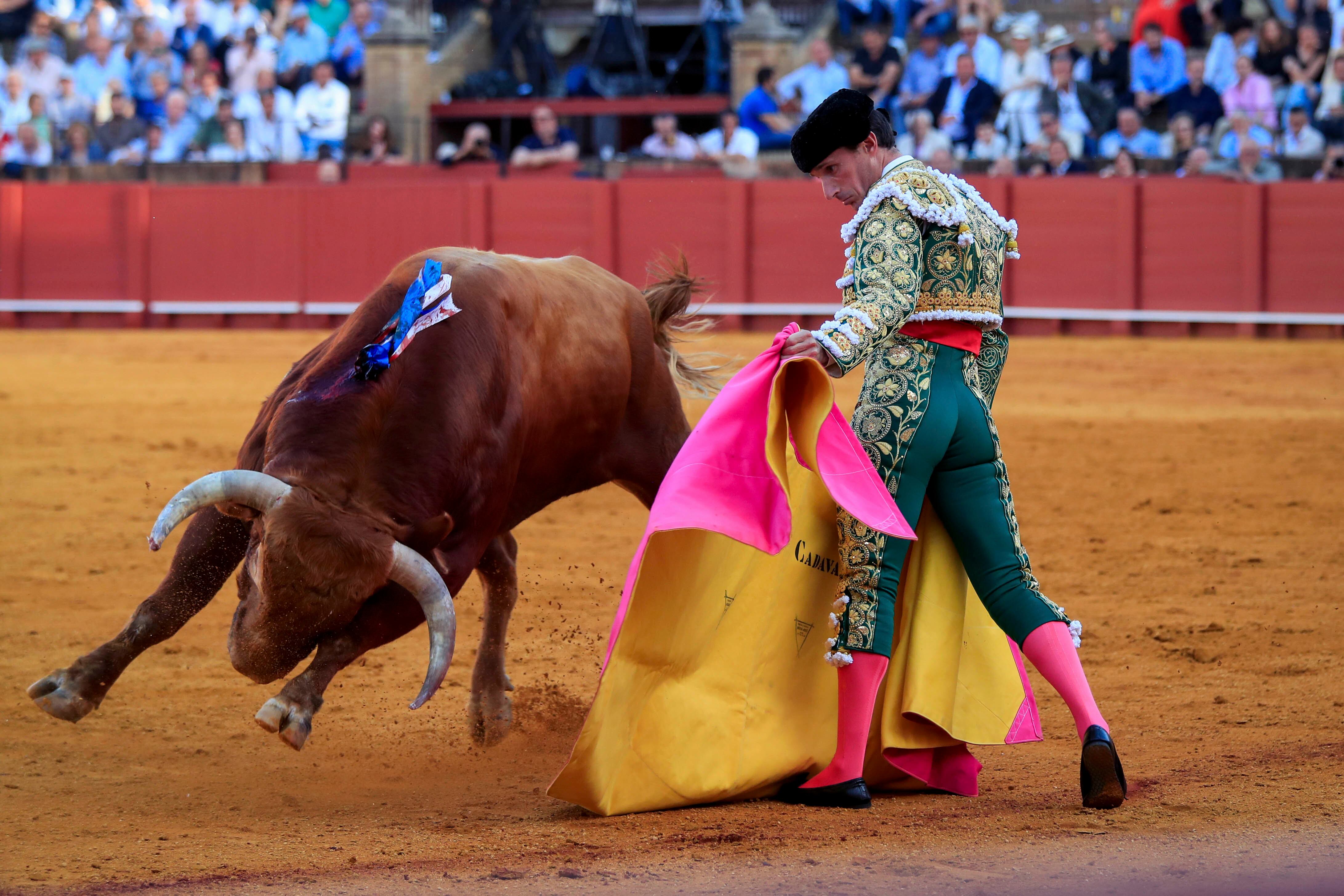 SEVILLA, 19/04/2023.- El torero Alfonso Cadaval durante la faena a su primer toro, de la ganadería de Santiago Domecq, en la tercera corrida de abono de la Feria de Abril esta tarde en la plaza de la Real Maestranza de Sevilla. EFE/ Julio Muñoz
