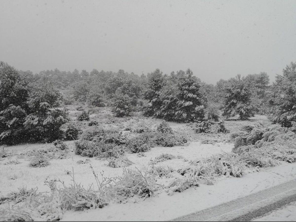 Las imágenes que deja la nieve en la provincia de Albacete