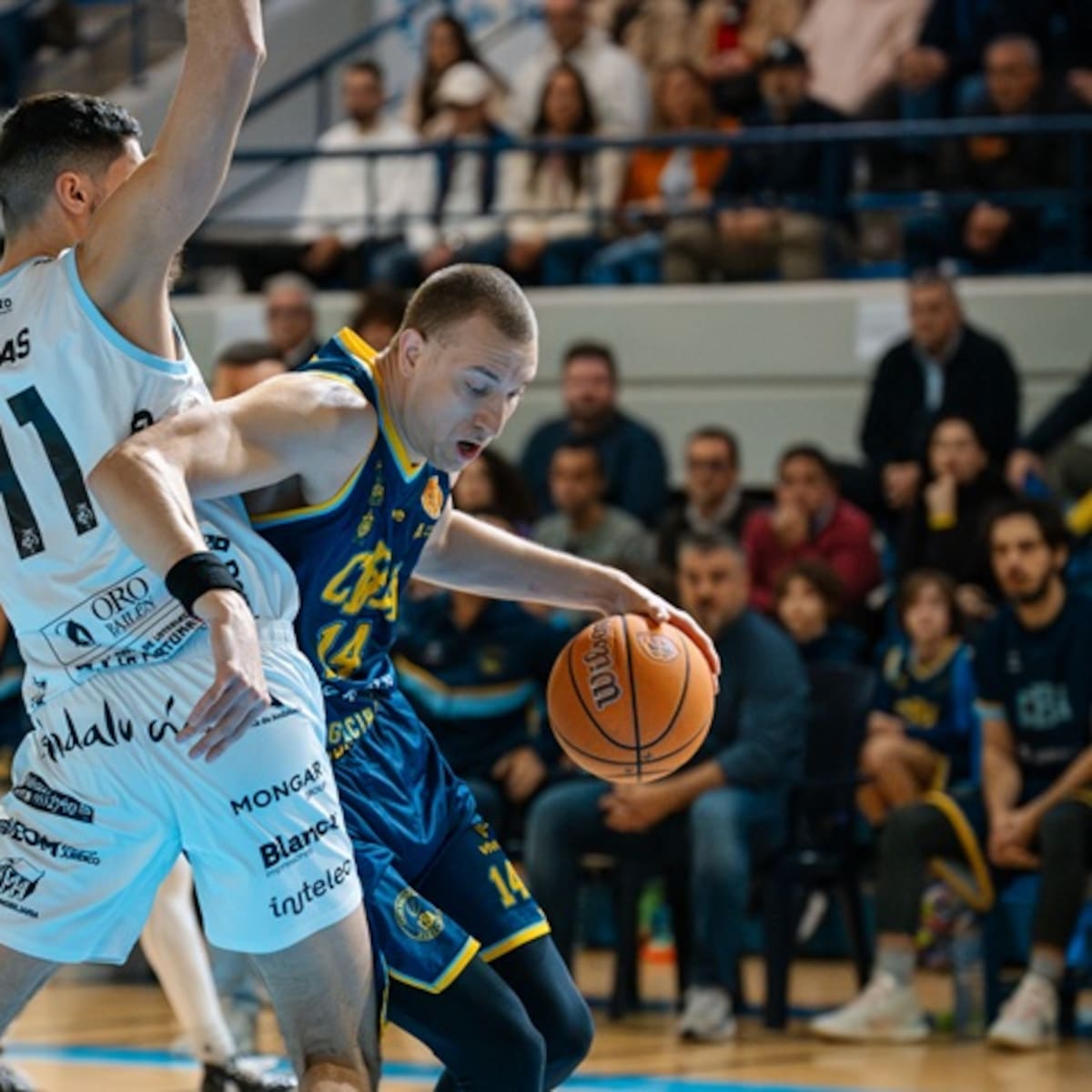 El CB Algeciras, a mantener todo en orden (Sáb 18.00h)