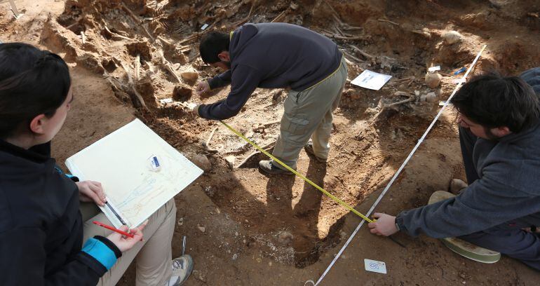 Trabajos de la Asociación para la Recuperación de la Memoria Histórica en el cementerio de El Carmen