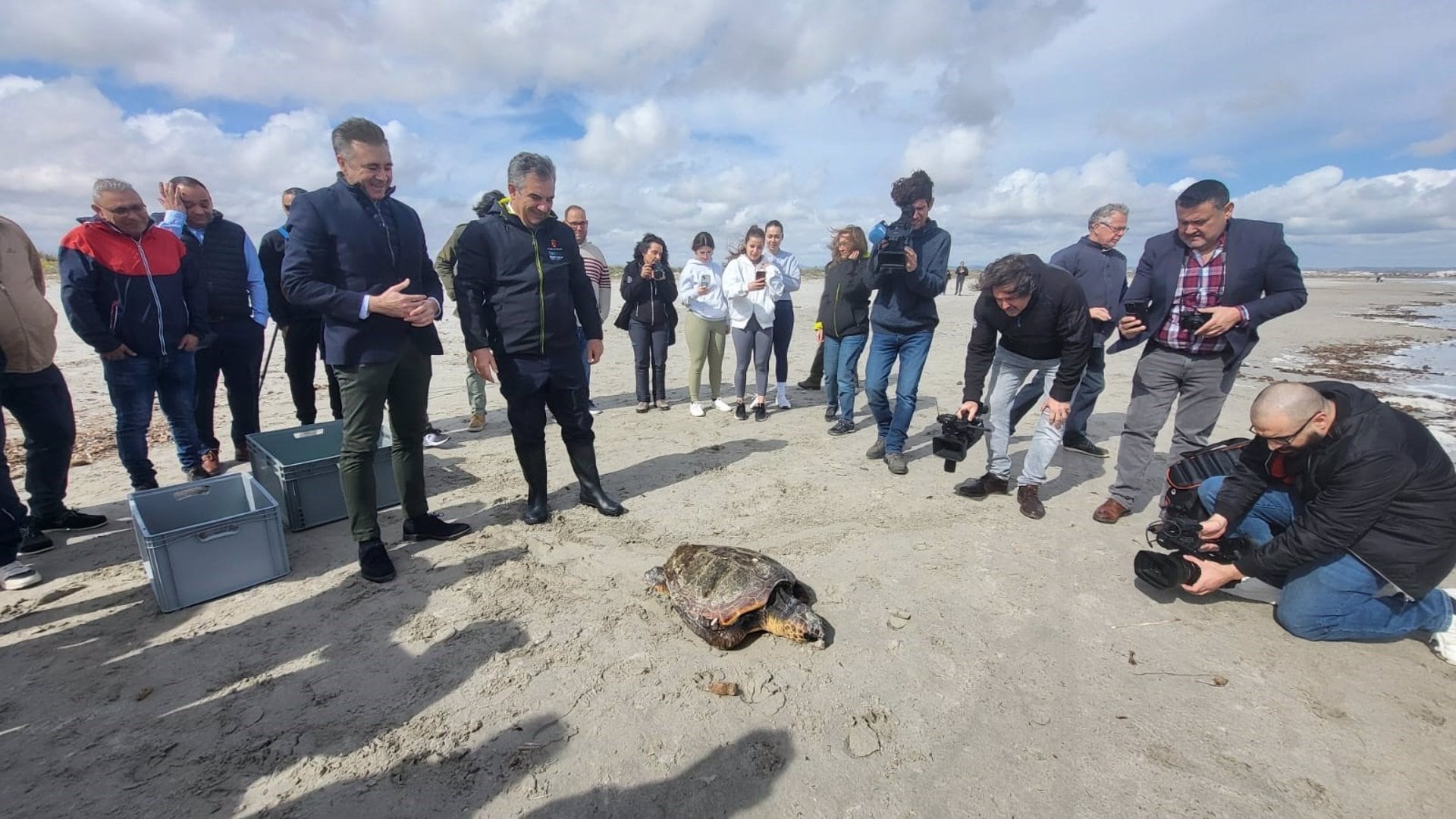 El consejero de Medio Ambiente, Universidades, Investigación y Mar Menor, Juan María Vázquez, junto con el alcalde de San Pedro del Pinatar, libera un ejemplar de más de 30 kilos de peso de tortuga boba en la playa de La Torre Derribada