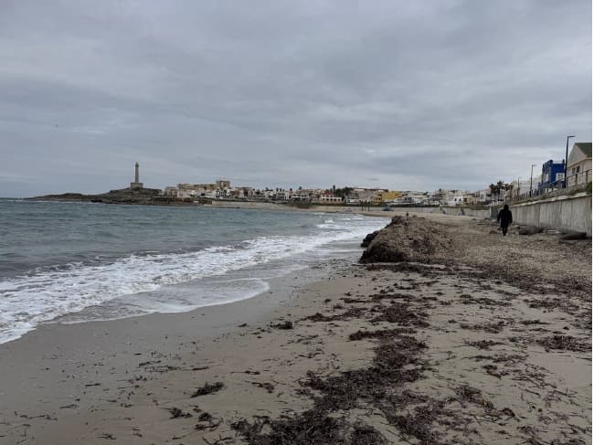 Procabo exige a Cartagena que adapte el contrato de limpieza de playas al nuevo decreto de la posidonia