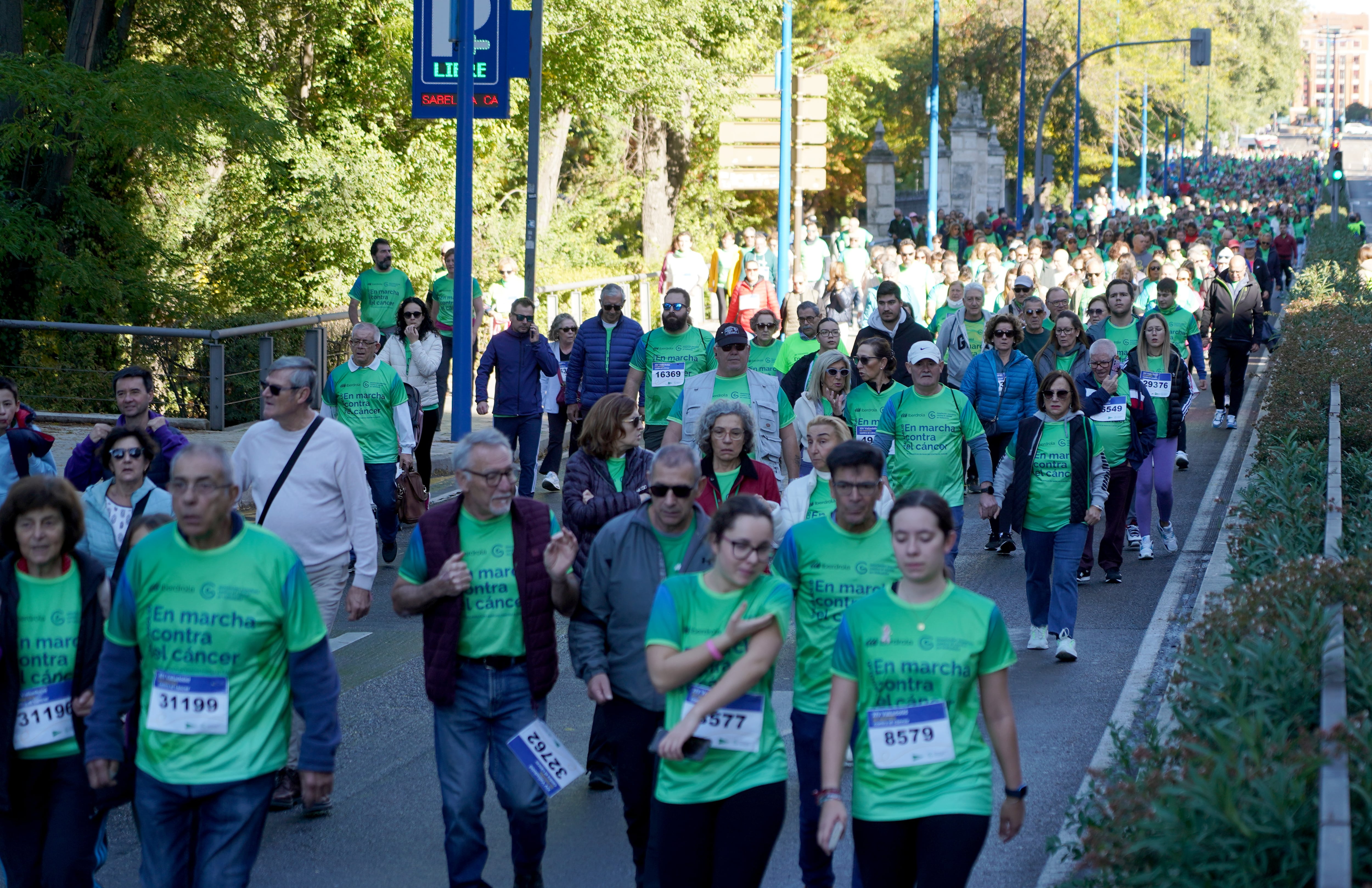 Celebración de la XIV Valladolid en Marcha Contra el Cáncer.