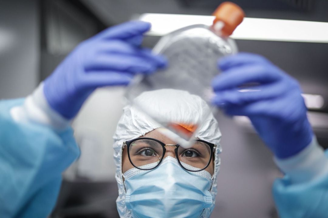 Investigadores trabajan en el Laboratorio de Virología Molecular de la Universidad Federal de Río de Janeiro.