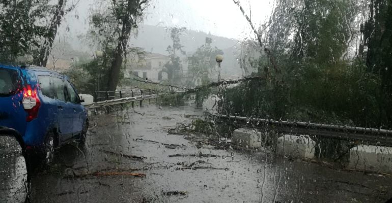 Destrozos que dejó la tormenta a su paso por Mogón.