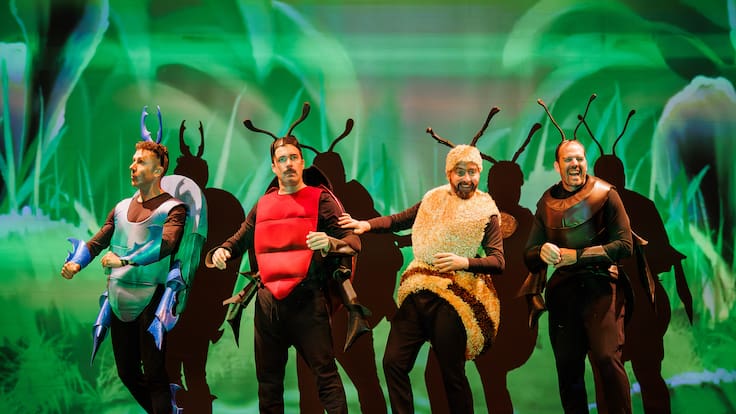 Entrevista a Alex Borrell, Bichitos inicia la programación cultural de Ontinyent en 2026