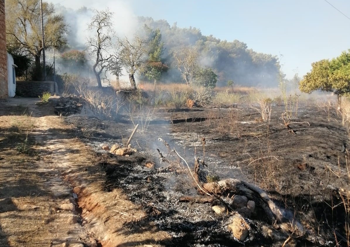 Imagen de archivo de un incendio este año en Ibiza