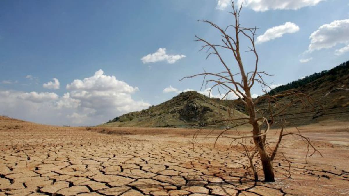 Menos agua para los regadíos del Júcar y del Túria