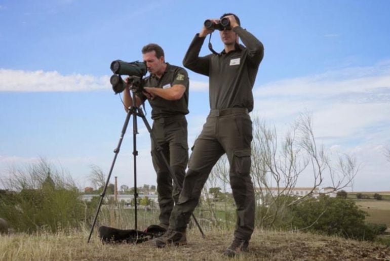 Agentes Medioambientales en plena observación