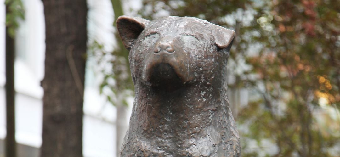 Una estatua recuerda la emotiva historia de Hachiko en Japón