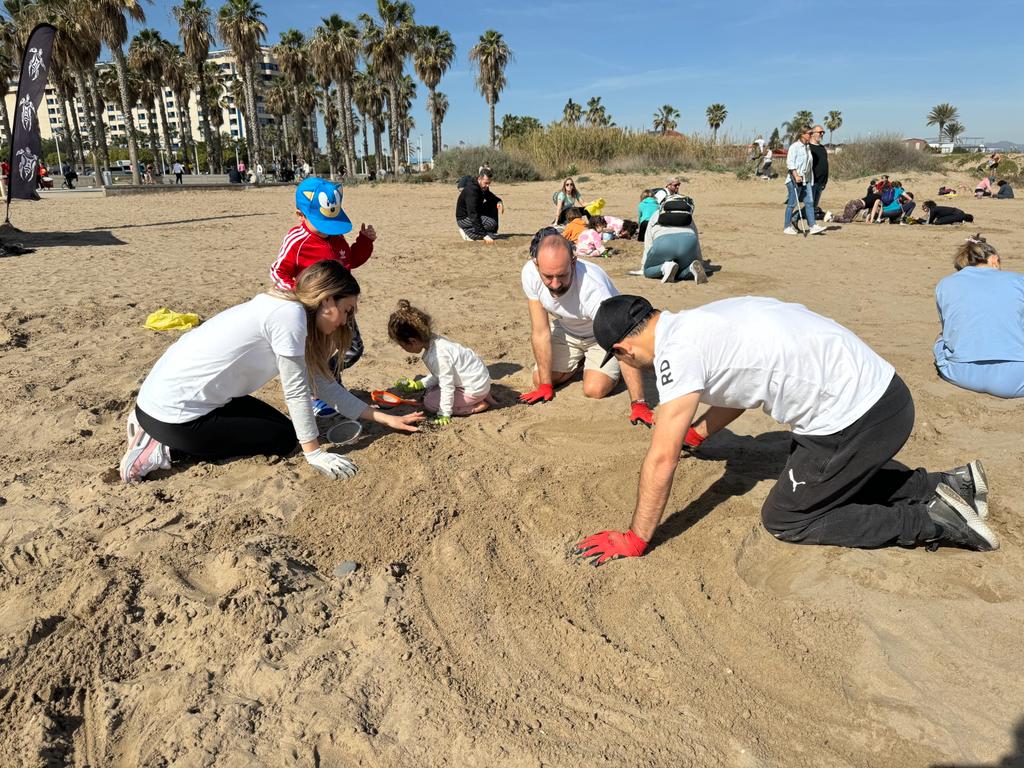 Más de 300 personas voluntarias participan en una nueva jornada de limpieza en la playa de la Patacona