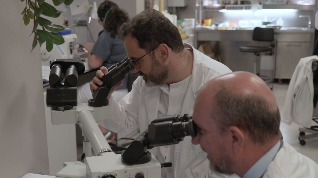 Laboratorio español de lucha contra el cáncer. 
 