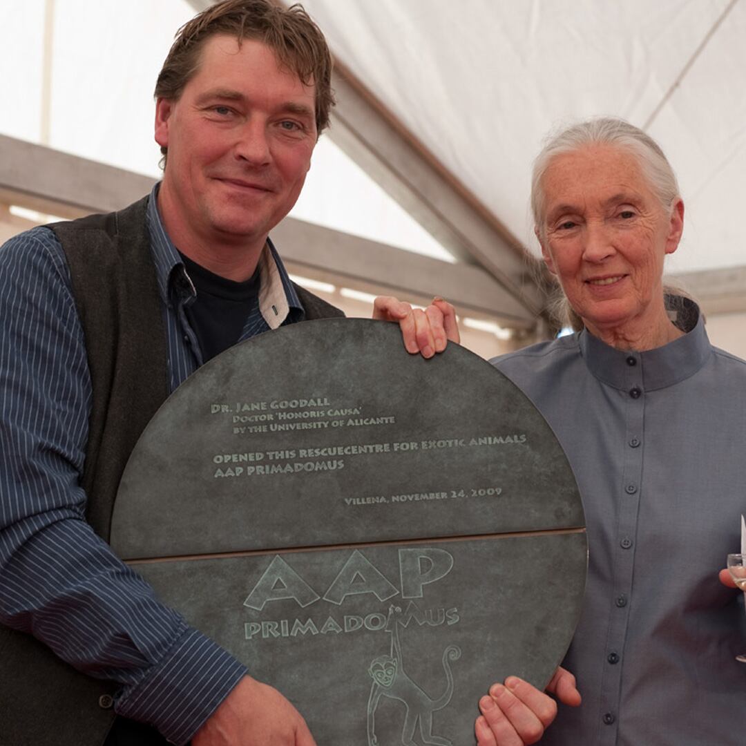 Jane Goodall en Primadomus, en Villena
