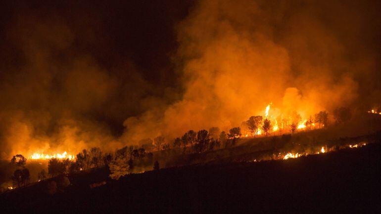 Imagen de incendio forestal
