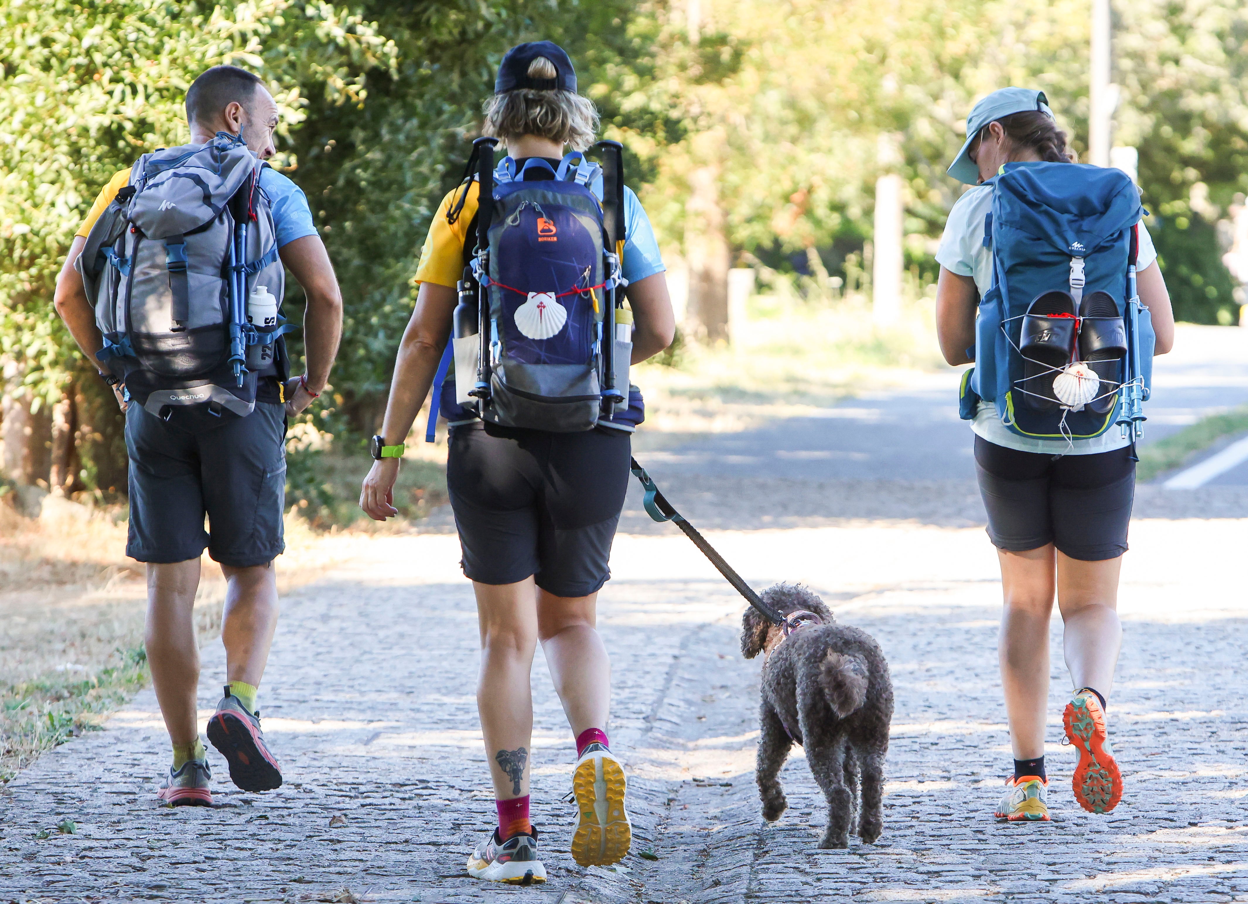 Tres peregrinos realizan el Camino de Santiago. EFE/ Xoán Rey.