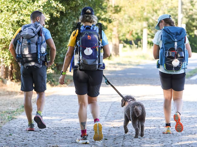 Tres peregrinos realizan el Camino de Santiago. EFE/ Xoán Rey.