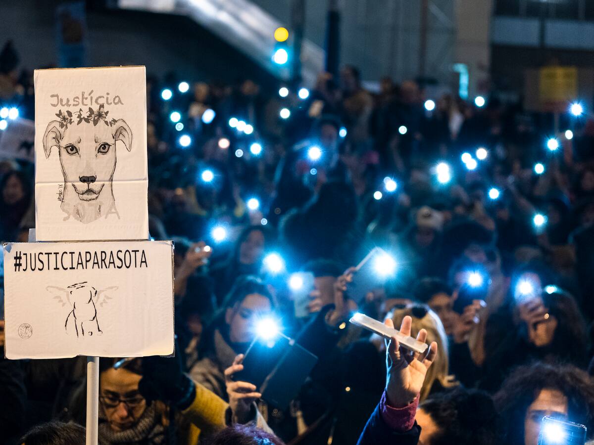 La mort de la gossa Sota a mans d'un guardia urbà, a mediació