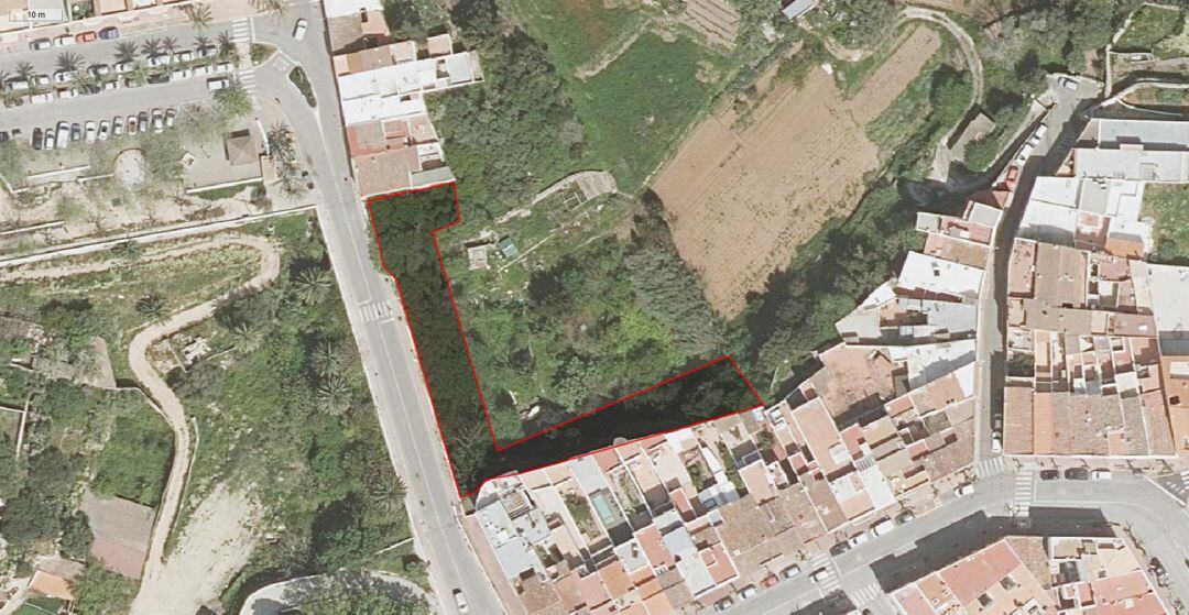 Es netejarà part del pont per evitar que l'estructura dels contraforts estigui afectada per la vegetació.